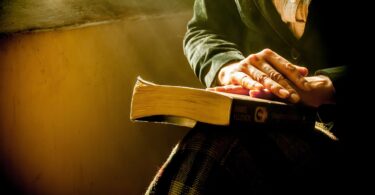 What Does The Bible Say About Narcissism