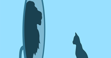 How to Spot a Narcissist Before They Manipulate You